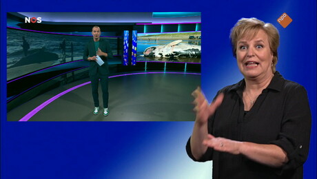 NOS Jeugdjournaal met gebarentaal